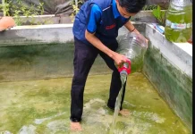 Dari Sampah Jadi Pelet Ikan, Mahasiswa Undip Berdayakan Warga Klidang Lor