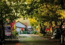 Dari Satu-Dua Warung, Pantai Jatimalang Kini Punya Puluhan Usaha Kuliner