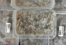 Tips Mengolah Teri Nasi Basah agar Tidak Amis