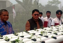 Atasi Keterbatasan Lahan, Untidar Kembangkan Pertanian Modern Lewat Aquaponik