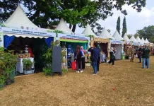 86 Pelaku Usaha Tampilkan Produk Unggulan di Harnas UMKM XI Kutoarjo Purworejo