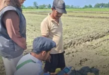 Dukung Swasembada Pangan, BRMP Jateng Perkuat Inovasi untuk Petani