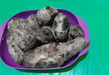 Tales Kukus: Kuliner Leluhur yang Kaya Manfaat Medis