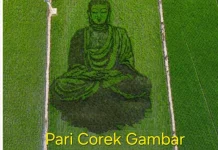 Pari Corek Sang Buddha, Karya Seni Sawah yang Bawa Pesan Cinta Kasih