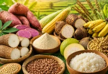 Sumber Pangan Lokal Jateng Melimpah, Harga Jadi Tantangan Diversifikasi