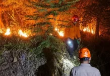 Karhutla Jateng Melonjak 700 Persen, Kemarau Ekstrem Picu Ratusan Kebakaran