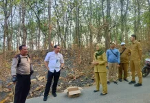 Cegah Karhutla, Perhutani Telawa dan Pemdes Cerme Perkuat Deteksi Dini