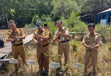Peduli Pesisir, SMP 3 Wedung dan SMP 1 Demak Kompak Tanam Mangrove
