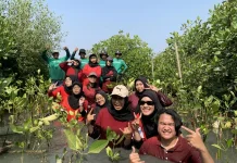 Maknai Kemerdekaan, Mahasiswa USM Tanam Mangrove untuk Jaga Lingkungan Pesisir