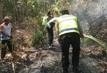 Kebakaran lahan 1,3 Hektar di Kebumen Diduga Akibat Lalai Bakar Sampah