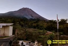 Awan Panas Guguran Merapi Sebabkan Kebakaran Vegetasi Hutan Merapi