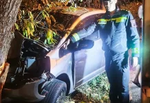 Polisi Olah TKP Kecelakaan Honda Jazz, Tabrak Pohon di Argomulyo Salatiga