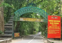 Surga Tersembunyi di Balik Gerbang Alas Purwo yang Penuh Misteri