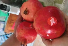 Buah Delima: Si Merah Kaya Antioksidan