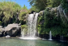 Menikmati Asrinya Curug Sidok di Pemalang