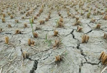 Rembang Masuk Status Awas Kekeringan, Permintaan Bantuan Air Bersih Meningkat