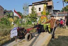 Jalan Sehat Berbalut Tradisi, Warga Tireman Rembang Arak Gunungan Hasil Bumi