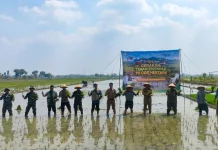 Kementan Genjot Indeks Pertanaman Serempak, Pekalongan Jadi Pilot Project Jateng