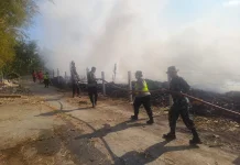 Kebakaran Lahan Penghijauan di Tol KM 442 Bawen, Lima Mobil Damkar Dikerahkan