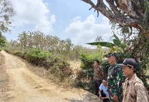 TNI Bangun Jalan Desa Ngajaran, Buka Akses Ekonomi Rembang-Blora