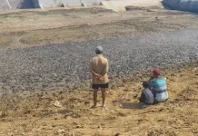 Kemarau Ekstrem Bikin Sungai Silugonggo Kering, Ikan Sapu-sapu Bermunculan