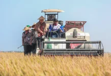 Produksi Padi Jateng Tembus 6,69 Juta Ton, Target 10,5 Juta Ton Optimistis Tercapai