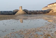 Sungai Juwana Kering, Dislautkan Pati Turun Pantau Dampak Kekeringan