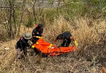 Polisi Dalami Temuan Diduga Kerangka Manusia di Jalan Jangli Semarang
