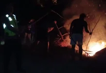 Kebakaran Lahan di Pabelan, Api Padam Setelah Dua Jam
