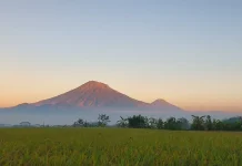 Gunung Sumbing, Pesona Alam di Perbatasan Jawa Tengah