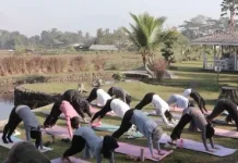 Tetap Lentur di Usia Senja, Yoga Menjadi Ruang untuk Menjaga Tubuh