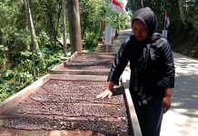 Ekpor ke Dubai, Kopi Robusta Banjarsari Grabag Magelang Menuju Cangkir Dunia