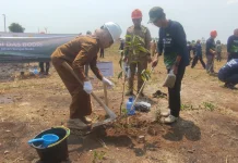 Lahan Perhutanan Sosial Kawasan DAS Bodri Kendal Ditanami Sengon dan Mangga