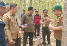 Percepat Pertumbuhan Jati Plus, Perhutani Uji Nutrimon di Telawa