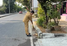 DLH Rembang Evaluasi Pengerahan ASN Sapu Jalan, Kini Terapkan Strategi Baru