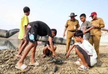 Kekeringan Bendung Karet Juana Kembali Terjadi, Warga Minta Aliran Air Dibuka