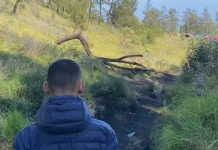 Perjalanan Melintasi Sabana Gunung Lawu yang Menawan