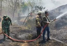 Lahan Eks TPA Darupono Kendal Kembali Terbakar, Tim Gabungan Bergerak Padamkan Api