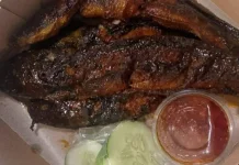 Resep Lele Bakar dengan Bumbu Meresap Sempurna