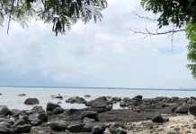 Menepi Sejenak di Pantai Ujungnegoro Batang