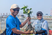 PLN Indonesia Power Tanam 1.000 Mangrove, Perkuat Pesisir Tambak Lorok