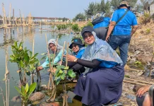PLN Indonesia Power Bangun Kemandirian Warga Pesisir Tambaklorok