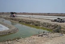 Kemarau Panjang Meresahkan Petani Garam di Pati, Kesulitan Produksi Barang