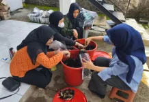 Tak Sekadar Limbah, Ampas Buah Bisa Jadi Pupuk Organik