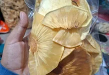 Cara Laris Jualan Ceriping Sukun dalam Kemasan Plastik