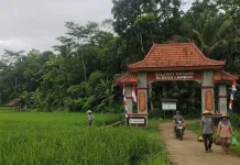 Kandangserang Didorong Kembali Hijau, Hutan Rakyat Perkuat Mitigasi Bencana