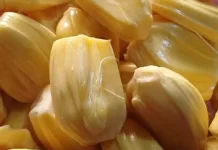 Berbagai Olahan Lezat dari Buah Nangka Kupas
