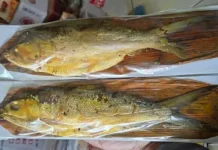 Bandeng Presto: Kuliner Gurih dengan Duri yang Lembut