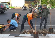 Respons Warga, Bupati Kudus akan Evaluasi Penataan Penghijauan Perkotaan