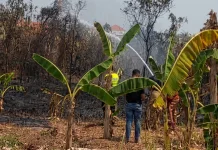 September Tembus 30 Kasus, Kebakaran di Kabupaten Pekalongan Meningkat